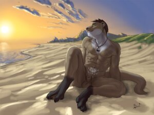 Rating: Explicit Score: 0 Tags: 2012 5_toes abs animal_genitalia anthro balls beach biceps big_muscles blackymoon cloud detailed_background e621 feet fully_sheathed genitals hindpaw lion21 male mammal membrane_(anatomy) muscular muscular_anthro muscular_male mustelid nature nude otter outside paws pecs sand sea seaside sheath sky solo sun sunset tail toes water webbed_feet User: bunchy7s
