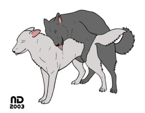 Rating: Explicit Score: 0 Tags: 2003 all_fours canid canine canis doggystyle domestic_dog duo e621 female feral feral_on_feral from_behind_position male male/female mammal nightdancer nude open_mouth quadruped sex side_view simple_background tail tongue white_background User: bunchy7s Rating: Explicit Score: 0 Tags: 2003 all_fours canid canine canis doggystyle domestic_dog duo e621 female feral feral_on_feral from_behind_position male male/female mammal nightdancer nude open_mouth quadruped sex side_view simple_background tail tongue white_background User: bunchy7s