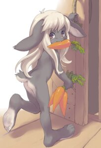 Rating: Questionable Score: 0 Tags: ambiguous_gender anthro big_feet biped butt carrot casual_nudity day door e621 feet food hair kemono kikurage lagomorph leporid long_hair looking_at_viewer mammal nude plant rabbit soles solo vegetable white_hair young young_anthro User: bunchy7s Rating: Questionable Score: 0 Tags: ambiguous_gender anthro big_feet biped butt carrot casual_nudity day door e621 feet food hair kemono kikurage lagomorph leporid long_hair looking_at_viewer mammal nude plant rabbit soles solo vegetable white_hair young young_anthro User: bunchy7s