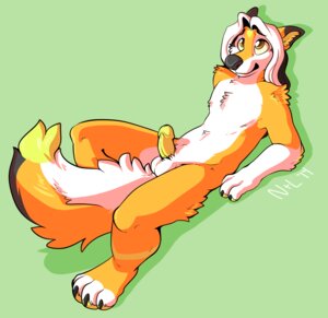 Rating: Explicit Score: 0 Tags: 2014 3_fingers 4_toes anthro balls biped black_nose canid canine canis digital_media_(artwork) domestic_dog e621 erection feet fingers fur genitals hair humanoid_genitalia humanoid_penis husky long_hair looking_up lying male mammal nordic_sled_dog nowandlater nude on_back penis seraphimkitsune simple_background solo spitz toes white_hair yellow_body yellow_eyes yellow_fur yellow_penis User: bunchy7s