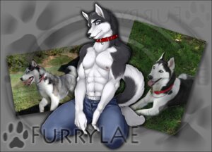 Rating: Safe Score: 0 Tags: alpha_channel black_border blue_eyes border bottomwear canid canine canis clothed clothing collar denim denim_bottomwear denim_clothing domestic_dog e621 feral husky jeans male mammal nordic_sled_dog pants photo real simple_background solo spitz tail transparent_background unknown_artist unzipped unzipped_pants zipper User: bunchy7s Rating: Safe Score: 0 Tags: alpha_channel black_border blue_eyes border bottomwear canid canine canis clothed clothing collar denim denim_bottomwear denim_clothing domestic_dog e621 feral husky jeans male mammal nordic_sled_dog pants photo real simple_background solo spitz tail transparent_background unknown_artist unzipped unzipped_pants zipper User: bunchy7s