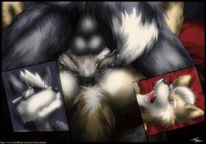 Rating: Explicit Score: 0 Tags: anal anal_penetration anthro anus backsack balls bodily_fluids butt canid canine canis cum cum_in_ass cum_inside cutaway digital_media_(artwork) dipstick_tail duo e621 erection fluffy fluffy_tail fox fox_mccloud fur furryratchet genital_fluids genitals grey_body grey_fur male male/male male_penetrated male_penetrating male_penetrating_male mammal markings nintendo nude open_mouth orange_body orange_fur penetration penis perineum sex star_fox sweat tail tail_markings white_body white_fur wolf wolf_o'donnell User: bunchy7s Rating: Explicit Score: 0 Tags: anal anal_penetration anthro anus backsack balls bodily_fluids butt canid canine canis cum cum_in_ass cum_inside cutaway digital_media_(artwork) dipstick_tail duo e621 erection fluffy fluffy_tail fox fox_mccloud fur furryratchet genital_fluids genitals grey_body grey_fur male male/male male_penetrated male_penetrating male_penetrating_male mammal markings nintendo nude open_mouth orange_body orange_fur penetration penis perineum sex star_fox sweat tail tail_markings white_body white_fur wolf wolf_o'donnell User: bunchy7s