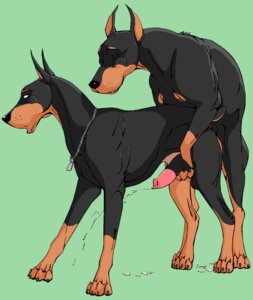 Rating: Explicit Score: 0 Tags: anal anal_penetration animal_genitalia animal_penis black_sheath_slit bodily_fluids canid canine canine_genitalia canine_penis canis cum cum_while_penetrated cumshot dobermann domestic_dog duo e621 ejaculation erection feral feral_on_feral genital_fluids genitals handjob hi_res klaus_doberman knot male male/male male_penetrated male_penetrating male_penetrating_male mammal orgasm penetration penile penis pinscher pointy_ears prick_ears reach_around rounded_back sex sheath_slit unavailable_at_source User: bunchy7s Rating: Explicit Score: 0 Tags: anal anal_penetration animal_genitalia animal_penis black_sheath_slit bodily_fluids canid canine canine_genitalia canine_penis canis cum cum_while_penetrated cumshot dobermann domestic_dog duo e621 ejaculation erection feral feral_on_feral genital_fluids genitals handjob hi_res klaus_doberman knot male male/male male_penetrated male_penetrating male_penetrating_male mammal orgasm penetration penile penis pinscher pointy_ears prick_ears reach_around rounded_back sex sheath_slit unavailable_at_source User: bunchy7s