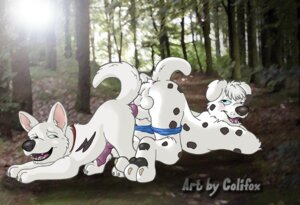 Rating: Explicit Score: 0 Tags: anal anal_penetration animal_genitalia animal_penis anthro anthro_on_feral anthro_penetrating anthro_penetrating_feral anus bestiality biped black_nose black_pawpads black_spots blue_clothing blue_eyes blue_underwear bodily_fluids bolt_(bolt) bolt_(film) canid canine canine_genitalia canine_penis canis claws clothed clothing colifox collar cum dalmatian disney domestic_dog duo e621 erection feral feral_penetrated fur genital_fluids genitals german_shepherd herding_dog intraspecies intraspecies_bestiality knot male male/male male_penetrated male_penetrating male_penetrating_male mammal markings mixed_media nude partially_clothed pastoral_dog pawpads penetration penis photo_background photography_(artwork) pink_penis pup1k quadruped raised_tail red_collar sex size_difference smaller_penetrated spots spotted_body spotted_fur tail tail_anus underwear underwear_down white_body white_fur User: bunchy7s Rating: Explicit Score: 0 Tags: anal anal_penetration animal_genitalia animal_penis anthro anthro_on_feral anthro_penetrating anthro_penetrating_feral anus bestiality biped black_nose black_pawpads black_spots blue_clothing blue_eyes blue_underwear bodily_fluids bolt_(bolt) bolt_(film) canid canine canine_genitalia canine_penis canis claws clothed clothing colifox collar cum dalmatian disney domestic_dog duo e621 erection feral feral_penetrated fur genital_fluids genitals german_shepherd herding_dog intraspecies intraspecies_bestiality knot male male/male male_penetrated male_penetrating male_penetrating_male mammal markings mixed_media nude partially_clothed pastoral_dog pawpads penetration penis photo_background photography_(artwork) pink_penis pup1k quadruped raised_tail red_collar sex size_difference smaller_penetrated spots spotted_body spotted_fur tail tail_anus underwear underwear_down white_body white_fur User: bunchy7s