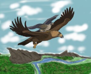 Rating: Safe Score: 0 Tags: accipitrid accipitriform avian avian_feet bird claws duo e621 eagle falcon falconid feathered_wings feathers feet feral ferobird flying golden_eagle hi_res male peregrine_falcon sawyer_(ferobird) spread_wings talons toe_claws toes true_eagle wings User: bunchy7s