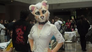 Rating: Safe Score: 0 Tags: 16:9 absurd_res animalia_romania anthro belo4ka clothing costume domestic_cat e621 eurofurence felid feline felis female fursuit germany grandfathered_content green_eyes group hi_res human mammal real sofia_(belo4ka) solo_focus widescreen User: bunchy7s