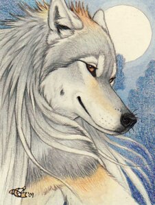 Rating: Safe Score: 0 Tags: 2009 anthro brown_eyes bust_portrait canid canine canis casidhe_(wolf) colored detailed_background e621 female full_moon fur goldenwolf hair inner_ear_fluff long_hair looking_at_viewer low_res mammal moon mythological_canine mythological_creature mythology night outside portrait signature smile solo traditional_media_(artwork) tuft werecanid werecanine werecreature werewolf whiskers white_hair wolf User: bunchy7s Rating: Safe Score: 0 Tags: 2009 anthro brown_eyes bust_portrait canid canine canis casidhe_(wolf) colored detailed_background e621 female full_moon fur goldenwolf hair inner_ear_fluff long_hair looking_at_viewer low_res mammal moon mythological_canine mythological_creature mythology night outside portrait signature smile solo traditional_media_(artwork) tuft werecanid werecanine werecreature werewolf whiskers white_hair wolf User: bunchy7s