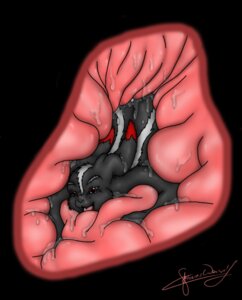 Rating: Questionable Score: 0 Tags: 2007 ambiguous_gender anthro digital_media_(artwork) e621 forceswerwolf hybrid inside_stomach internal lagomorph leporid male male/ambiguous mammal mephitid organs rabbit skunk skunkhase skunny solo stomach unseen_pred vore User: bunchy7s