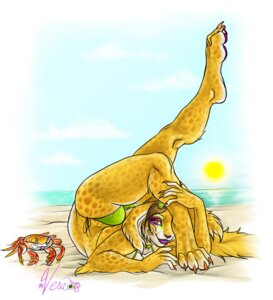 Rating: Questionable Score: 0 Tags: 2008 ambient_arthropod ambient_crab ambient_crustacean ambient_sealife anthro beach bikini claws clothed clothing detailed_background e621 female flexible mammal outside sand seaside skimpy sky solo swimwear tail two-piece_swimsuit vera_(artist) vera_(vera) water User: bunchy7s Rating: Questionable Score: 0 Tags: 2008 ambient_arthropod ambient_crab ambient_crustacean ambient_sealife anthro beach bikini claws clothed clothing detailed_background e621 female flexible mammal outside sand seaside skimpy sky solo swimwear tail two-piece_swimsuit vera_(artist) vera_(vera) water User: bunchy7s