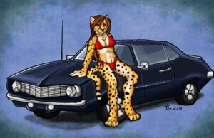 Rating: Questionable Score: 0 Tags: 2012 anthro bikini breasts camel_toe car cheetah clothed clothing e621 felid feline female hair long_hair mammal on_hood purple_eyes sage116 skimpy solo swimwear tail turi two-piece_swimsuit vehicle User: bunchy7s