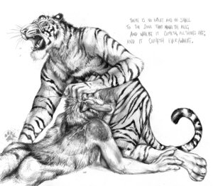Rating: Explicit Score: 0 Tags: 2011 animal_genitalia animal_penis anthro anthro_on_anthro balls black_and_white blotch bodily_fluids canid canine canis cum cum_on_back cumshot duo e621 ejaculation english_text erection eyes_closed felid feline_genitalia feline_penis fur genital_fluids genitals interspecies male male/male mammal monochrome orgasm pantherine penis scratches_volume_5 stripes text tiger traditional_media_(artwork) whiskers wolf User: bunchy7s Rating: Explicit Score: 0 Tags: 2011 animal_genitalia animal_penis anthro anthro_on_anthro balls black_and_white blotch bodily_fluids canid canine canis cum cum_on_back cumshot duo e621 ejaculation english_text erection eyes_closed felid feline_genitalia feline_penis fur genital_fluids genitals interspecies male male/male mammal monochrome orgasm pantherine penis scratches_volume_5 stripes text tiger traditional_media_(artwork) whiskers wolf User: bunchy7s