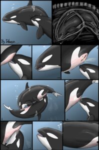 Rating: Explicit Score: 0 Tags: 69_position aquatic belly big_belly bodily_fluids body_inside_body cetacean comic cunnilingus dolorcin dolphin e621 female feral feral_on_feral genitals group hi_res inside_uterus internal lactating mammal oceanic_dolphin oral orca pregnant pregnant_female sex toothed_whale uterus vaginal vulva User: bunchy7s