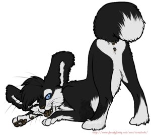 Rating: Explicit Score: 0 Tags: anus big_ears blue_eyes e621 felid female feral fluffy genitals kanjo mammal presenting raised_tail simple_background smile solo tail toradoshi vulva watermark white_background wiggle User: bunchy7s Rating: Explicit Score: 0 Tags: anus big_ears blue_eyes e621 felid female feral fluffy genitals kanjo mammal presenting raised_tail simple_background smile solo tail toradoshi vulva watermark white_background wiggle User: bunchy7s