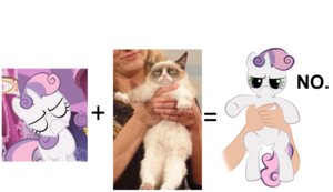 Rating: Safe Score: 0 Tags: 2012 comparison domestic_cat duo e621 equid equine eyes_closed felid feline felis female feral friendship_is_magic fur grandfathered_content green_eyes hair hasbro horn human looking_at_viewer mammal meme multicolored_hair my_little_pony mythological_creature mythological_equine mythology quadruped real simple_background sweetie_belle_(mlp) tail tardar_sauce two_tone_hair unicorn unknown_artist what white_background white_body white_fur young young_female young_feral User: bunchy7s