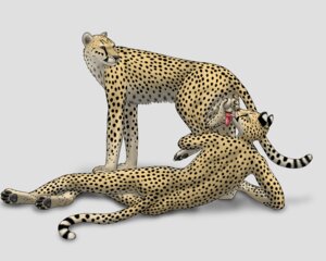 Rating: Explicit Score: 0 Tags: 5:4 anatomically_correct anatomically_correct_genitalia anatomically_correct_penis animal_genitalia animal_penis anthro anthro_on_feral anthro_penetrated ball_grab balls bestiality black_sheath_slit cheepard cheetah digital_media_(artwork) duo e621 erection felid feline feline_genitalia feline_penis feral feral_penetrating feral_penetrating_anthro genitals interspecies intraspecies intraspecies_bestiality licking male male/male male_on_feral male_penetrated male_penetrating male_penetrating_male mammal oral penetration penile penis penis_lick sex sheath_slit tongue tongue_out User: bunchy7s Rating: Explicit Score: 0 Tags: 5:4 anatomically_correct anatomically_correct_genitalia anatomically_correct_penis animal_genitalia animal_penis anthro anthro_on_feral anthro_penetrated ball_grab balls bestiality black_sheath_slit cheepard cheetah digital_media_(artwork) duo e621 erection felid feline feline_genitalia feline_penis feral feral_penetrating feral_penetrating_anthro genitals interspecies intraspecies intraspecies_bestiality licking male male/male male_on_feral male_penetrated male_penetrating male_penetrating_male mammal oral penetration penile penis penis_lick sex sheath_slit tongue tongue_out User: bunchy7s