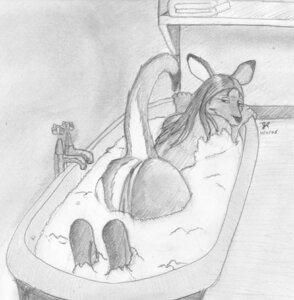 Rating: Explicit Score: 0 Tags: 2006 anthro anus bath bathroom bathtub bent_legs butt calves_up e621 feet_out_of_water female fur genitals kangaroo legs_out_of_water looking_at_viewer macropod mammal marsupial monochrome nude partially_submerged presenting presenting_hindquarters raised_calf raised_tail shadowstalkerw solo submerged_legs tail vulva water wet User: bunchy7s