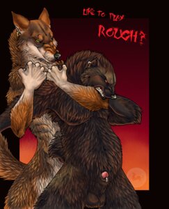 Rating: Explicit Score: 0 Tags: animal_genitalia anthro balls battle brown_body brown_fur canid canine canis clenched_teeth duo e621 ear_piercing english_text fur furgonomic_piercing furgonomics genital_piercing genitals grabbing_from_behind gulonine male male/male mammal mustelid musteline nude penis penis_tip piercing sabretoothed_ermine sheath sheath_piercing smile smirk standing tail teeth text wolf wolverine User: bunchy7s