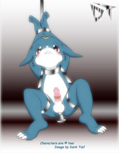 Rating: Explicit Score: 0 Tags: anthro dark_tief digimon furry male male_only rule34 scalie tagme veemon User: bunchy7s