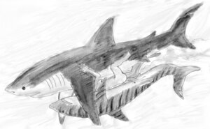 Rating: Explicit Score: 0 Tags: anal animal_genitalia aquatic bestiality bodily_fluids breasts claspers cum duo e621 erection female feral fish genital_fluids genitals great_white_shark greyscale hair human interspecies mackerel_shark male mammal monochrome nude penis requiem_shark sea shark sketch tiger_shark unknown_artist water white_shark User: bunchy7s Rating: Explicit Score: 0 Tags: anal animal_genitalia aquatic bestiality bodily_fluids breasts claspers cum duo e621 erection female feral fish genital_fluids genitals great_white_shark greyscale hair human interspecies mackerel_shark male mammal monochrome nude penis requiem_shark sea shark sketch tiger_shark unknown_artist water white_shark User: bunchy7s