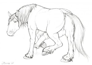Rating: Explicit Score: 0 Tags: animal_genitalia animal_penis anus backsack balls big_penis bodily_fluids butt dripping e621 equid equine equine_genitalia equine_penis erection feral flared_penis genital_fluids genitals horse male mammal mane monochrome nude penis precum puffy_anus shadowfenris simple_background solo white_background User: bunchy7s Rating: Explicit Score: 0 Tags: animal_genitalia animal_penis anus backsack balls big_penis bodily_fluids butt dripping e621 equid equine equine_genitalia equine_penis erection feral flared_penis genital_fluids genitals horse male mammal mane monochrome nude penis precum puffy_anus shadowfenris simple_background solo white_background User: bunchy7s