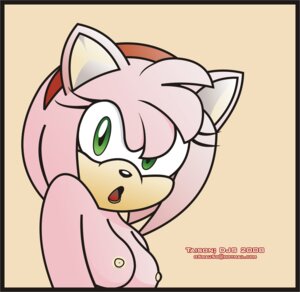Rating: Questionable Score: 0 Tags: 2008 amy_rose anthro artist_collaboration breasts bust_portrait clothed clothing e621 eulipotyphlan female hedgehog hi_res mammal nipples nude pink_body portrait rockthebull sega simple_background solo sonic_the_hedgehog_(series) taison third-party_edit User: bunchy7s