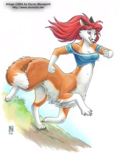 Rating: Safe Score: 0 Tags: 2006 big_breasts black_nose bottomless breasts canid canid_taur canine canine_taur clothed clothing dipstick_tail e621 female fox fox_taur fur hair kacey life's_dream mammal mammal_taur markings navel open_mouth orange_body orange_fur pandora_whitepaw red_hair running solo tail tail_markings taur User: bunchy7s Rating: Safe Score: 0 Tags: 2006 big_breasts black_nose bottomless breasts canid canid_taur canine canine_taur clothed clothing dipstick_tail e621 female fox fox_taur fur hair kacey life's_dream mammal mammal_taur markings navel open_mouth orange_body orange_fur pandora_whitepaw red_hair running solo tail tail_markings taur User: bunchy7s