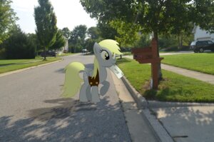 Rating: Safe Score: 0 Tags: bag blonde_hair building car curb day derp_eyes derpy_hooves_(mlp) e621 equid equine feathered_wings feathers female feral friendship_is_magic grass grey_body grey_feathers hair hasbro hi_res house letter mailbox mammal mixed_media my_little_pony mythological_creature mythological_equine mythology neighborhood outside pegasus photo_background photography_(artwork) plant real satchel sidewalk sky solo street toony town tree unknown_artist urban vehicle wings wood yellow_eyes User: bunchy7s
