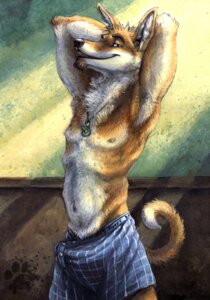 Rating: Questionable Score: 0 Tags: 2007 anthro armpit_hair bad_puppy_boxers blotch blue_eyes body_hair boxers_(clothing) bulge canid canine canis chest_tuft clothed clothing colored diego_(blotch) dingo e621 erection erection_under_clothing facial_hair fur furry-specific_brand goatee hei-matau inner_ear_fluff jewelry looking_at_viewer male mammal morning morning_wood navel necklace nipples pose solo tail tenting topless tuft underwear User: bunchy7s