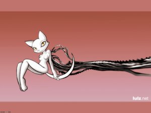 Rating: Questionable Score: 0 Tags: 4:3 anthro breasts darkdoomer domestic_cat e621 featureless_breasts felid feline felis female hi_res kittie letterbox lulznet mammal nude solo tail technophilia usb_compatible wallpaper User: bunchy7s
