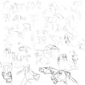 Rating: Explicit Score: 0 Tags: 1:1 anatomically_correct anatomically_correct_genitalia anatomically_correct_vulva animal_genitalia animal_penis animal_vulva anus black_and_white bodily_fluids cum detailed digital_media_(artwork) duo e621 equid equine equine_genitalia equine_penis equine_vulva erection female feral fisting gdane genital_fluids genitals horse human krita_(artwork) male mammal monochrome penetration penis realistic sex simple_background sketch solo vaginal vaginal_penetration vulva white_background User: bunchy7s Rating: Explicit Score: 0 Tags: 1:1 anatomically_correct anatomically_correct_genitalia anatomically_correct_vulva animal_genitalia animal_penis animal_vulva anus black_and_white bodily_fluids cum detailed digital_media_(artwork) duo e621 equid equine equine_genitalia equine_penis equine_vulva erection female feral fisting gdane genital_fluids genitals horse human krita_(artwork) male mammal monochrome penetration penis realistic sex simple_background sketch solo vaginal vaginal_penetration vulva white_background User: bunchy7s