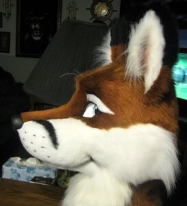 Rating: Safe Score: 0 Tags: 2010 ambiguous_gender anthro canid canine clothing costume e621 firestormsix fox fursuit grandfathered_content headshot_portrait hi_res mammal mat_fox photography_(artwork) portrait real side_view solo User: bunchy7s