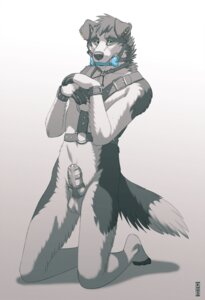 Rating: Explicit Score: 0 Tags: 2014 animal_genitalia anthro balls barred_chastity_cage bdsm begging biped black_body black_fur bondage bone_gag border_collie bound canid canine canis chastity_cage chastity_device clothing collie detached_sheath digital_media_(artwork) domestic_dog e621 ear_piercing feet fully_sheathed fur gag gagged genitals gradient_background grey_background grey_theme harness herding_dog kannos kneeling knot_in_sheath looking_at_viewer male mammal multicolored_body multicolored_fur over_sheath_chastity_cage pastoral_dog petplay piercing plantigrade puppyplay roleplay sheath sheath_chastity_cage sheepdog simple_background solo submissive submissive_male tracey_(traceypup) two_tone_body two_tone_fur underwear unsupported_chastity_cage watermark wearing_chastity_cage wearing_chastity_device white_background white_body white_fur User: bunchy7s