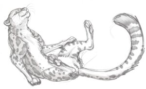 Rating: Explicit Score: 0 Tags: 2013 cheetah e621 felid feline female feral genitals mammal sketch solo spread_legs spreading tail toradoshi vulva User: bunchy7s Rating: Explicit Score: 0 Tags: 2013 cheetah e621 felid feline female feral genitals mammal sketch solo spread_legs spreading tail toradoshi vulva User: bunchy7s