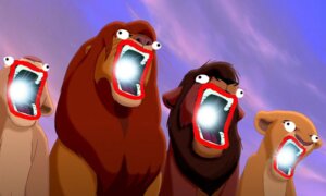 Rating: Safe Score: 0 Tags: 5:3 chargin'_mah_lazor daughter_(lore) disney e621 father_(lore) father_and_child_(lore) father_and_daughter_(lore) felid female feral fur gaping_mouth grandfathered_content group humor kiara_(the_lion_king) kovu_(the_lion_king) lineup lion male mammal meme mother_(lore) mother_and_child_(lore) mother_and_daughter_(lore) mouth_shot nala_(the_lion_king) open_mouth pantherine parent_(lore) parent_and_child_(lore) parent_and_daughter_(lore) shitpost shoop_da_whoop simba_(the_lion_king) the_lion_king unknown_artist what User: bunchy7s