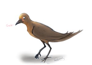 Rating: Safe Score: 0 Tags: 2012 ambiguous_gender avian beak bird blush e621 feathered_wings feathers feral oonami simple_background sketch solo white_background wings User: bunchy7s