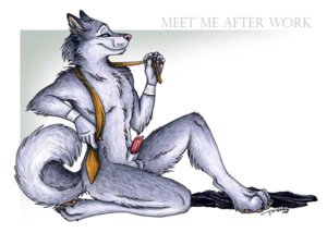 Rating: Explicit Score: 0 Tags: 1boy anthro balls canine canine_penis fur furry male male_only necktie nude penis rule34 solo tail tani_da_real wolf User: bunchy7s