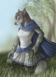 Rating: Safe Score: 0 Tags: 2010 anthro biped bracelet canid canine canis claws cloak clothed clothing cloud e621 female fur green_eyes grey_body grey_fur hair janus_(newie) jewelry kneeling looking_at_viewer mammal outside rukis shirt sky solo tail topwear tunic wolf User: bunchy7s