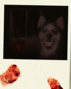 Rating: Safe Score: 0 Tags: 4:5 ambiguous_gender blood bodily_fluids canid canine canis creepypasta domestic_dog e621 feral fingerprint grandfathered_content grin husky looking_at_viewer low_res mammal nightmare_fuel nordic_sled_dog photo scary smile smile.dog solo spitz teeth unknown_artist User: bunchy7s Rating: Safe Score: 0 Tags: 4:5 ambiguous_gender blood bodily_fluids canid canine canis creepypasta domestic_dog e621 feral fingerprint grandfathered_content grin husky looking_at_viewer low_res mammal nightmare_fuel nordic_sled_dog photo scary smile smile.dog solo spitz teeth unknown_artist User: bunchy7s
