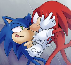 Rating: Questionable Score: 0 Tags: anthro blue_body blue_fur blue_hair blush bodily_fluids duo e621 echidna eulipotyphlan fur hair hedgehog karlo knuckles_the_echidna male male/male mammal monotreme sega simple_background sonic_the_hedgehog sonic_the_hedgehog_(series) sweat tail tongue User: bunchy7s Rating: Questionable Score: 0 Tags: anthro blue_body blue_fur blue_hair blush bodily_fluids duo e621 echidna eulipotyphlan fur hair hedgehog karlo knuckles_the_echidna male male/male mammal monotreme sega simple_background sonic_the_hedgehog sonic_the_hedgehog_(series) sweat tail tongue User: bunchy7s