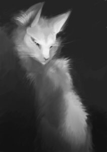 Rating: Safe Score: 0 Tags: ambiguous_gender domestic_cat e621 felid feline felis feral greyscale hair mammal monochrome simple_background solo white_hair もさもささん User: bunchy7s Rating: Safe Score: 0 Tags: ambiguous_gender domestic_cat e621 felid feline felis feral greyscale hair mammal monochrome simple_background solo white_hair もさもささん User: bunchy7s