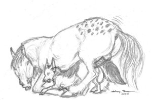 Rating: Explicit Score: 0 Tags: anal anal_penetration anatomically_correct anatomically_correct_genitalia anatomically_correct_penis animal_genitalia animal_penis anus black-backed_jackal canid canine canis dominant duo e621 ebonytigress equid equine equine_genitalia equine_penis erection eyes_closed feral feral_on_feral genitals greyscale hooves horse interspecies jackal larger_dom larger_male looking_pleasured male male/male male_penetrated male_penetrating male_penetrating_male mammal moan monochrome orgasm_face penetration penis sex size_difference sketch smaller_male smaller_penetrated tail User: bunchy7s Rating: Explicit Score: 0 Tags: anal anal_penetration anatomically_correct anatomically_correct_genitalia anatomically_correct_penis animal_genitalia animal_penis anus black-backed_jackal canid canine canis dominant duo e621 ebonytigress equid equine equine_genitalia equine_penis erection eyes_closed feral feral_on_feral genitals greyscale hooves horse interspecies jackal larger_dom larger_male looking_pleasured male male/male male_penetrated male_penetrating male_penetrating_male mammal moan monochrome orgasm_face penetration penis sex size_difference sketch smaller_male smaller_penetrated tail User: bunchy7s