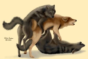 Rating: Explicit Score: 0 Tags: 2003 3:2 anal anal_penetration anatomically_correct_feral anus backsack balls barely_visible_genitalia barely_visible_penis brown_body brown_fur canid canine canis countershade_face countershade_tail countershade_torso countershading e621 ebon_lupus erection feral feral_on_feral fur genitals grey_body grey_fur group group_sex intraspecies male male/male male_penetrated male_penetrating male_penetrating_male mammal nude penetration penis photorealism raised_tail realistic realistic_feral sandwich_position sex side_view simple_background tail tail_anus tan_body tan_fur threesome train_position trio wolf wolf_pack yellow_eyes User: bunchy7s