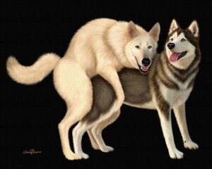 Rating: Explicit Score: 0 Tags: 5:4 arctic_wolf black_background black_body black_fur canid canine canis doggystyle domestic_dog duo e621 ebon_lupus female female_penetrated feral feral_on_feral from_behind_position fur husky intraspecies looking_at_viewer male male/female male_penetrating male_penetrating_female mammal multicolored_body multicolored_fur nordic_sled_dog nude open_mouth penetration penile penile_penetration penis_in_vagina photorealism quadruped realistic sex siberian_husky simple_background spitz tail teeth tongue tongue_out two_tone_body two_tone_fur vaginal vaginal_penetration watermark white_body white_fur wolf User: bunchy7s