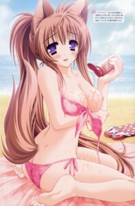 Rating: Questionable Score: 0 Tags: absurd_res animal_humanoid areola bikini blush breasts brown_hair canid canine clothed clothing e621 feet female hair hi_res humanoid humanoid_feet long_hair lotion mammal mito_mashiro moekibara_fumitake neck-tie_bikini neck-tie_clothing neck-tie_swimwear nipples one_breast_out open_mouth plantigrade ponytail purple_eyes side-tie_bikini side-tie_clothing side-tie_swimwear sitting skimpy soles solo string_bikini swimwear tail tayutama two-piece_swimsuit undressing untied_bikini User: bunchy7s