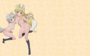 Rating: Explicit Score: 0 Tags: animal_ear breasts ezomori_nozomu female footwear fox_ear highres kanokon kneehighs minamoto_chizuru nipples no_panties rule34 socks tail wallpaper wolf_ear User: bunchy7s