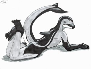 Rating: Questionable Score: 0 Tags: adleisio anthro aquatic biped cetacean dolphin e621 female lounging lying mammal oceanic_dolphin pacific_white-sided_dolphin pinup pose raised_tail river_(adleisio) solo tail toothed_whale white-sided_dolphin User: bunchy7s