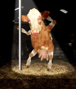 Rating: Questionable Score: 0 Tags: 3d_(artwork) 3d_animation animated animated_gif bovid bovine bovine_teats bovine_udders cattle cyriak dancing digital_media_(artwork) e621 female grandfathered_content hay lipstick low_res makeup mammal pole pole_dancing short_playtime solo teats udders what User: bunchy7s Rating: Questionable Score: 0 Tags: 3d_(artwork) 3d_animation animated animated_gif bovid bovine bovine_teats bovine_udders cattle cyriak dancing digital_media_(artwork) e621 female grandfathered_content hay lipstick low_res makeup mammal pole pole_dancing short_playtime solo teats udders what User: bunchy7s