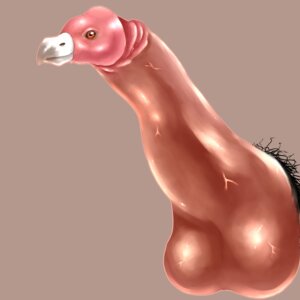 Rating: Explicit Score: 0 Tags: 1:1 accipitriform avian beak bird e621 erection genital_shot genitals hi_res male nightmare_fuel penis penis_creature penis_shot sentient_penis simple_background solo unavailable_at_source unknown_artist vein veiny_penis vulture what what_has_science_done where_is_your_god_now User: bunchy7s Rating: Explicit Score: 0 Tags: 1:1 accipitriform avian beak bird e621 erection genital_shot genitals hi_res male nightmare_fuel penis penis_creature penis_shot sentient_penis simple_background solo unavailable_at_source unknown_artist vein veiny_penis vulture what what_has_science_done where_is_your_god_now User: bunchy7s
