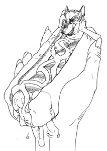 Rating: Questionable Score: 0 Tags: ambiguous_gender animate_inanimate anthro black_and_white disembodied_hand duo e621 food food_creature food_fetish food_play holding_character hot_dog humanoid_hands micro monochrome nipples open_mouth pen_(artwork) simple_background size_difference swatcher traditional_media_(artwork) transformation what white_background User: bunchy7s Rating: Questionable Score: 0 Tags: ambiguous_gender animate_inanimate anthro black_and_white disembodied_hand duo e621 food food_creature food_fetish food_play holding_character hot_dog humanoid_hands micro monochrome nipples open_mouth pen_(artwork) simple_background size_difference swatcher traditional_media_(artwork) transformation what white_background User: bunchy7s