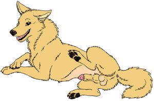Rating: Explicit Score: 0 Tags: animal_genitalia anus balls barkwoof brown_eyes canid canine canis domestic_dog e621 feral genitals half-erect knot knot_in_sheath looking_at_viewer male mammal nude open_mouth penis penis_tip raised_tail sheath solo tail tail_anus tongue User: bunchy7s